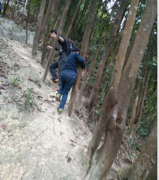 登山 登山