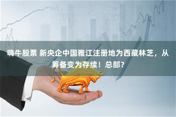 嗨牛股票 新央企中国雅江注册地为西藏林芝，从筹备变为存续！总部？
