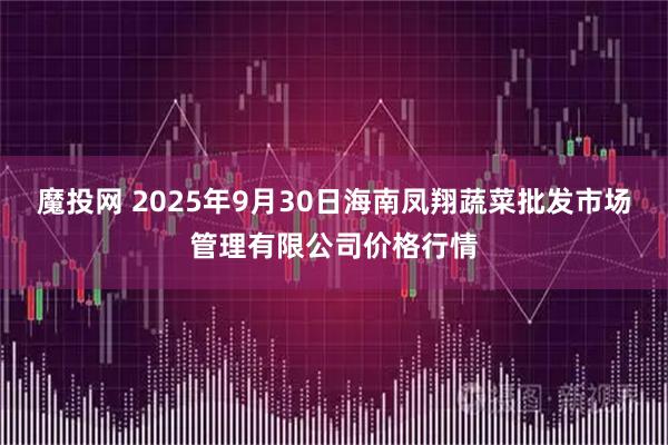 魔投网 2025年9月30日海南凤翔蔬菜批发市场管理有限公司价格行情