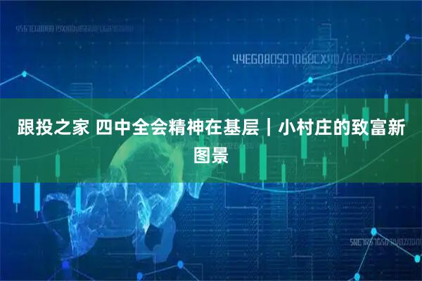 跟投之家 四中全会精神在基层|小村庄的致富新图景